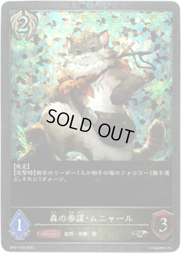 画像1: 【プレミアム】森の参謀・ムニャール (1)