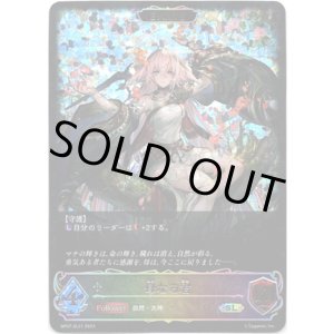 画像: 【スーパーレジェンド】【EVOLVE】母なる君