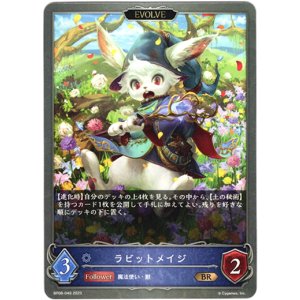 画像: 【EVOLVE】ラビットメイジ