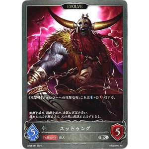 画像: 【EVOLVE】スットゥング