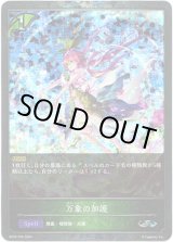 画像: 【プレミアム】万象の加護