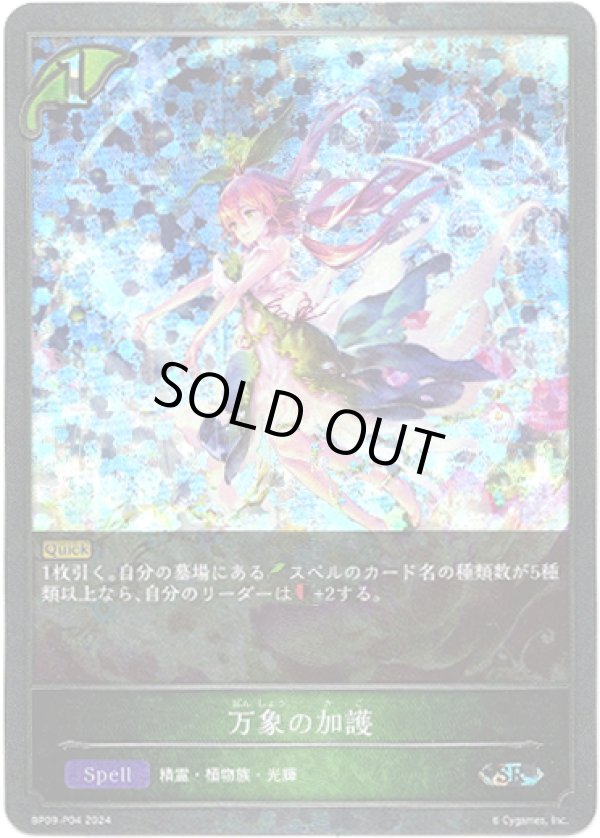 画像1: 【プレミアム】万象の加護 (1)