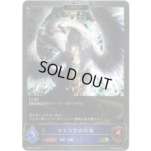 画像1: 【プレミアム】【EVOLVE】マナリアの白竜/マナリアの黒竜 (1)