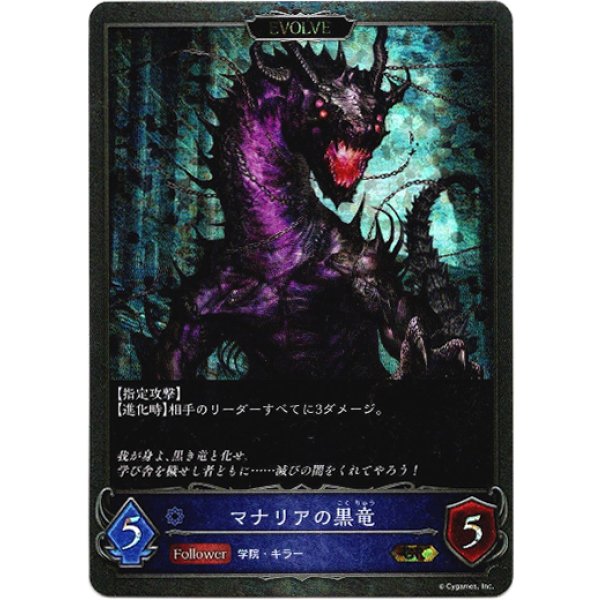 画像2: 【プレミアム】【EVOLVE】マナリアの白竜/マナリアの黒竜 (2)
