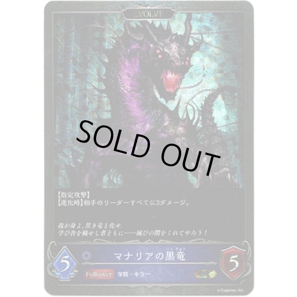 画像2: 【プレミアム】【EVOLVE】マナリアの白竜/マナリアの黒竜 (2)