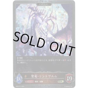 画像: 【プレミアム】【EVOLVE】聖竜・リントヴルム/邪竜・リントヴルム