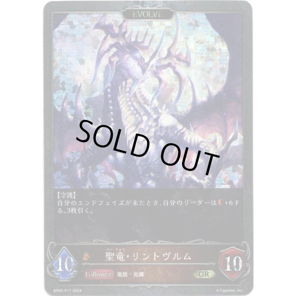 画像1: 【プレミアム】【EVOLVE】聖竜・リントヴルム/邪竜・リントヴルム (1)