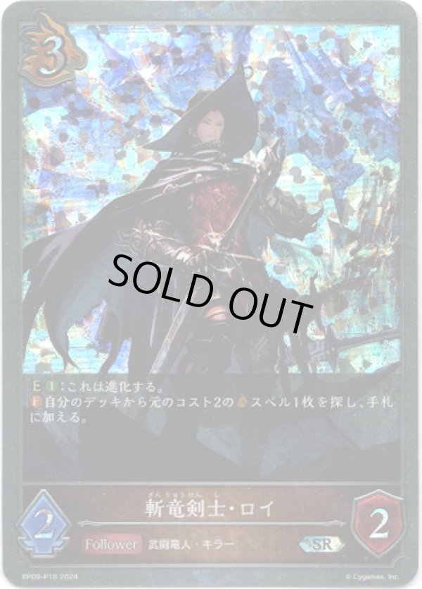 画像1: 【プレミアム】斬竜剣士・ロイ (1)