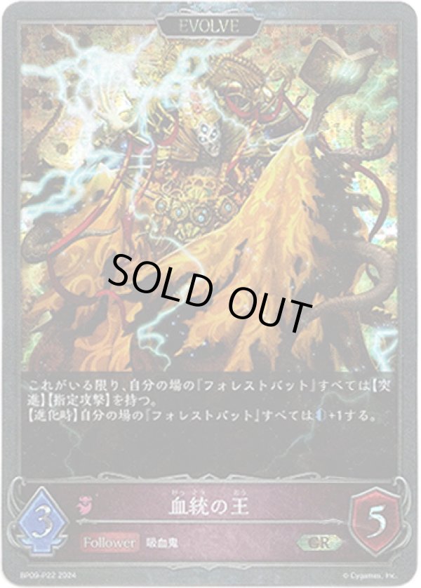 画像1: 【プレミアム】【EVOLVE】血統の王 (1)