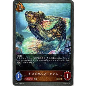 画像: トロピカルフィッシュ