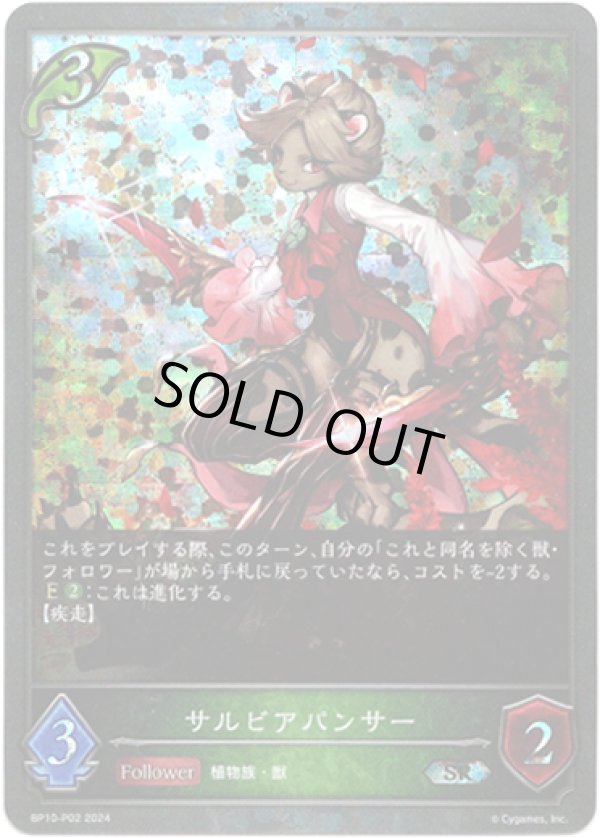 画像1: 【プレミアム】サルビアパンサー (1)