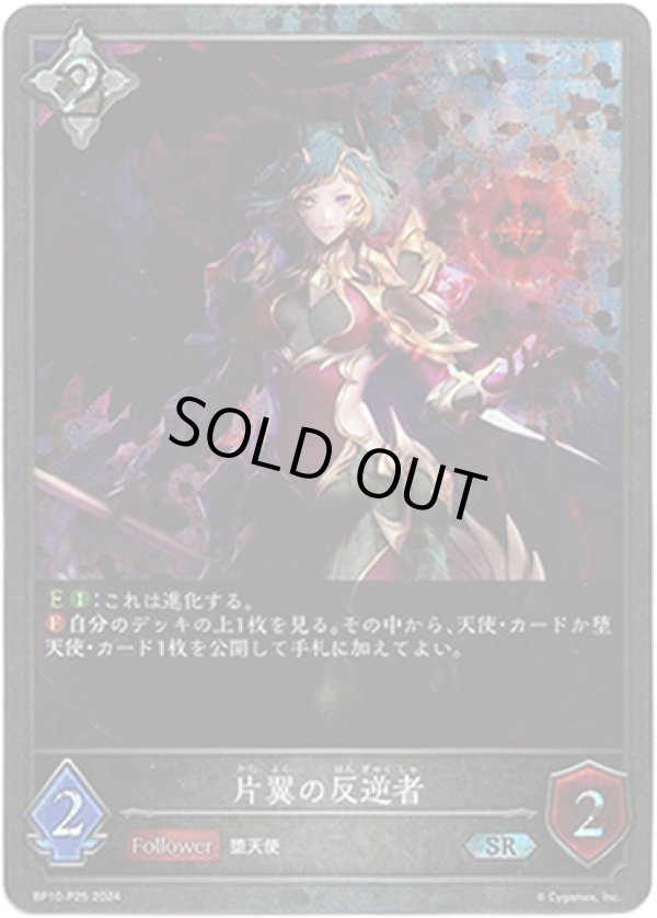 画像1: 【プレミアム】片翼の反逆者 (1)