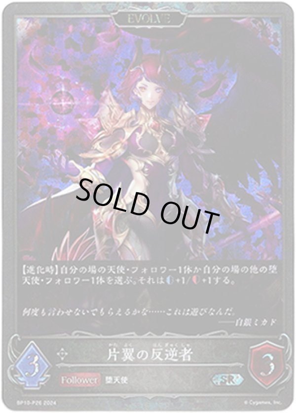 画像1: 【プレミアム】【EVOLVE】片翼の反逆者 (1)
