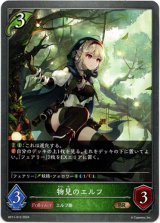 画像: 物見のエルフ