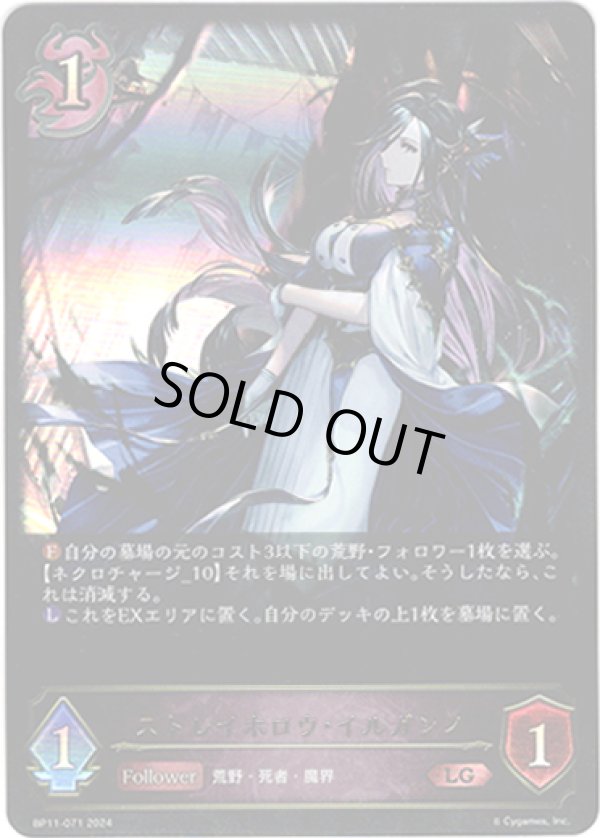 画像1: ストレイホロウ・イルガンノ (1)