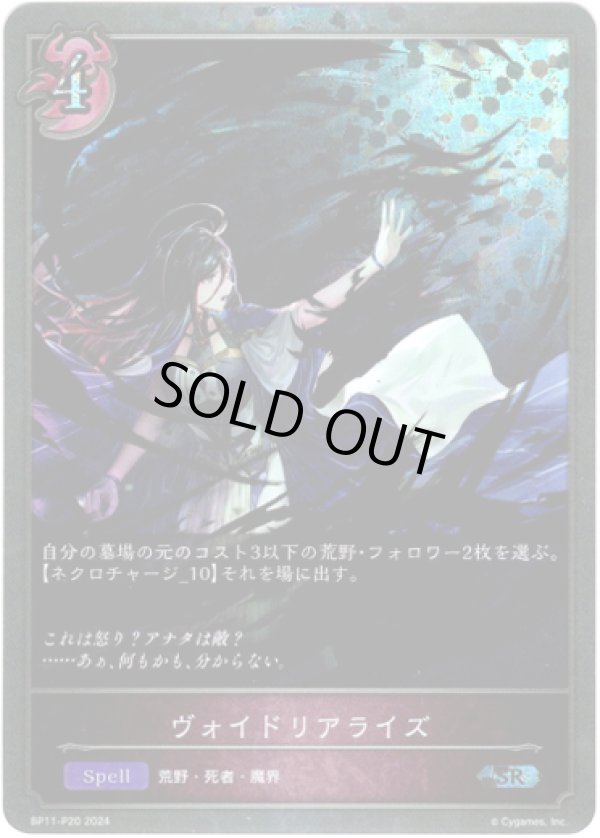 画像1: 【プレミアム】ヴォイドリアライズ (1)