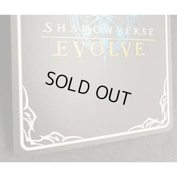 画像2: ※箔押し跡有り【SP】カースドクイーン・ナハト・ナハト (2)