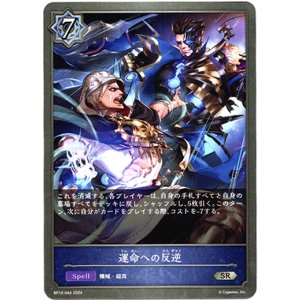 画像: 運命への反逆