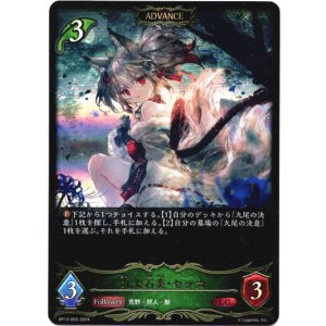 画像: ※傷有り品(返品交換対象外)【ADVANCE】九火石炎・セッカ