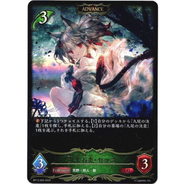 画像1: ※傷有り品（返品交換対象外）【ADVANCE】九火石炎・セッカ (1)