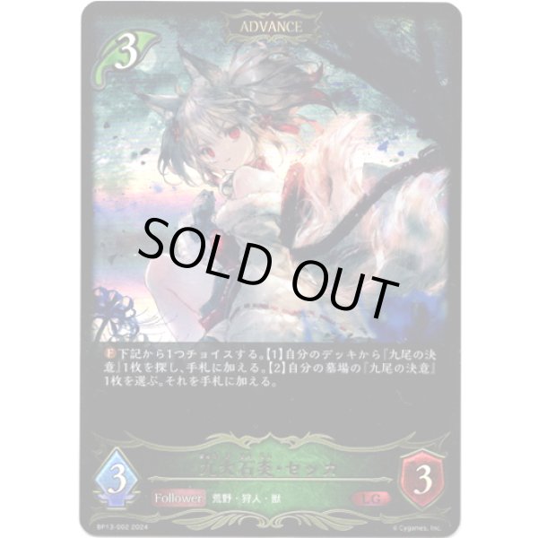 画像1: ※傷有り品（返品交換対象外）【ADVANCE】九火石炎・セッカ (1)