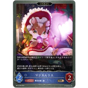 画像: 【EVOLVE】マジカルリス