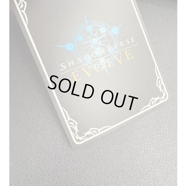 画像2: ※箔押し跡有り【SP】【ADVANCE】九火石炎・セッカ (2)