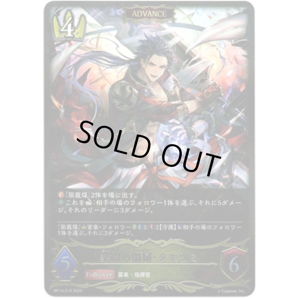 画像1: ※傷有り品（返品交換対象外）【ADVANCE】楽園の開闢・タケツミ (1)