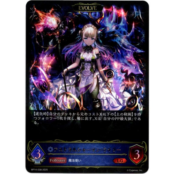 画像1: ※傷有り品（返品交換対象外）【EVOLVE】アストラルシャーマン・ライリー (1)