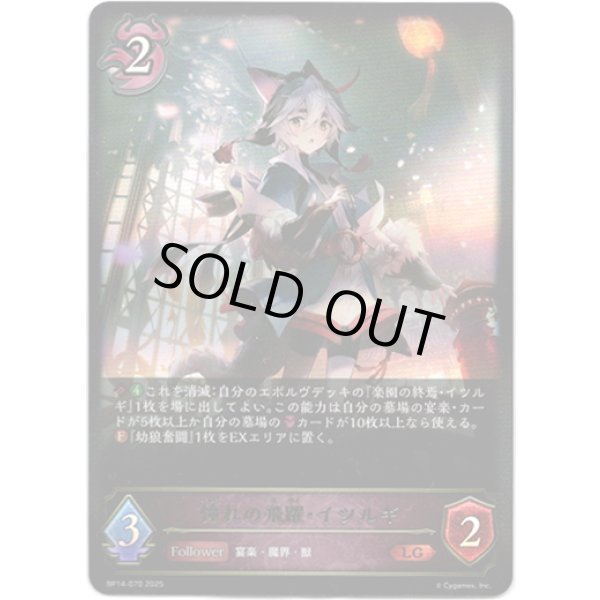 画像1: ※傷有り品（返品交換対象外）憧れの飛躍・イツルギ (1)