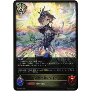 画像: 永久の盾・シオン