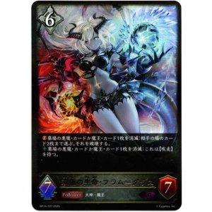 画像: 双極の生命・フラム＝グラス