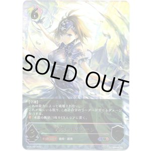 画像: 【アルティメット】永久の盾・シオン