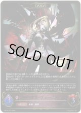 画像: ※傷有り品（返品交換対象外）【EVOLVE】愛絶の欲望・ヴァーナレク