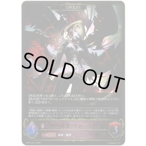 画像: ※傷有り品（返品交換対象外）【EVOLVE】愛絶の欲望・ヴァーナレク