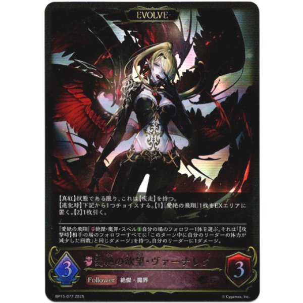 画像1: ※傷有り品（返品交換対象外）【EVOLVE】愛絶の欲望・ヴァーナレク (1)