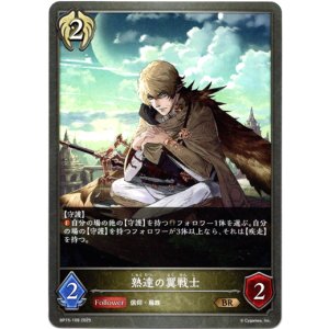 画像: 熟達の翼戦士