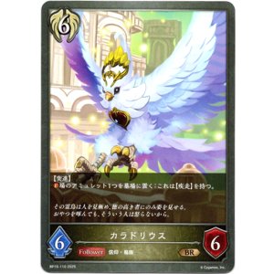 画像: カラドリウス