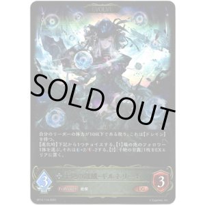 画像: ※傷有り品（返品交換対象外）【EVOLVE】干絶の飢餓・ギルネリーゼ