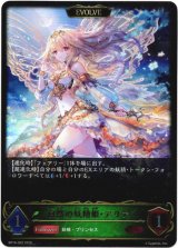 画像: ※傷有り品（返品交換対象外）【EVOLVE】自然の妖精姫・アリア