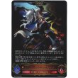 画像1: ※傷有り品（返品交換対象外）【EVOLVE】灼熱のアナテマ・バーンドナイト (1)