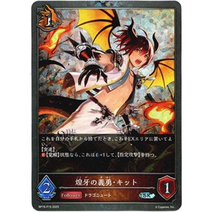 画像: 【プレミアム】煌牙の義勇・キット