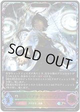 画像: 【スーパーレジェンド】【EVOLVE】裁決のアナテマ・ロデオ