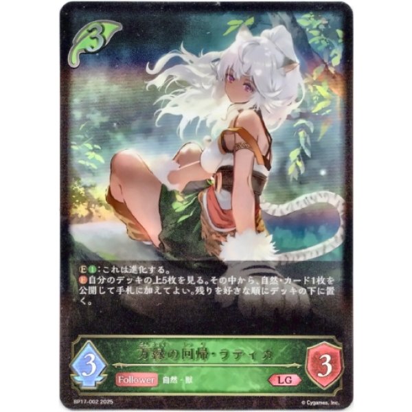 画像1: ※傷有り品（返品交換対象外）万緑の回帰・ラティカ (1)