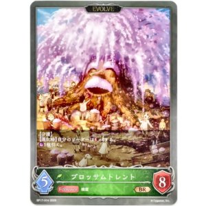 画像: 【EVOLVE】ブロッサムトレント