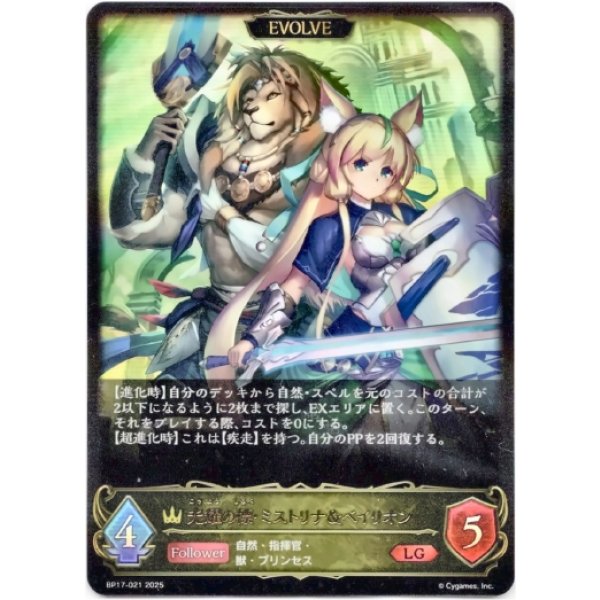 画像1: ※傷有り品（返品交換対象外）【EVOLVE】光耀の標・ミストリナ＆ベイリオン (1)