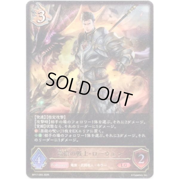 画像1: ※傷有り品（返品交換対象外）竜槍の戦士・ローウェン (1)