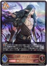 画像: ※傷有り品（返品交換対象外）森の影・ヴァイディ