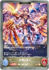 画像: 【EVOLVE】鉄鋼の翼人