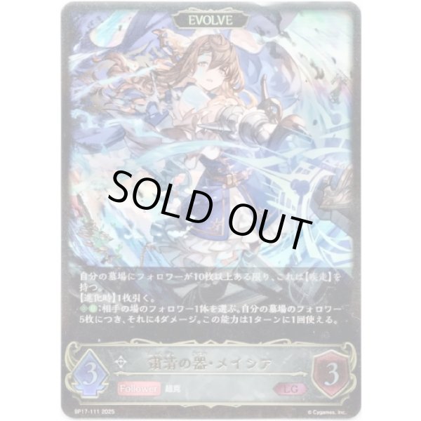 画像1: ※傷有り品（返品交換対象外）【EVOLVE】粛清の器・メイシア (1)